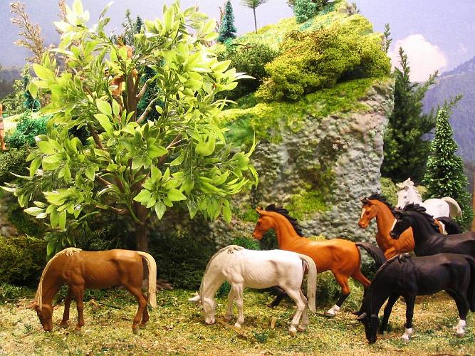 04.01 Pferde auf der Weide.jpg